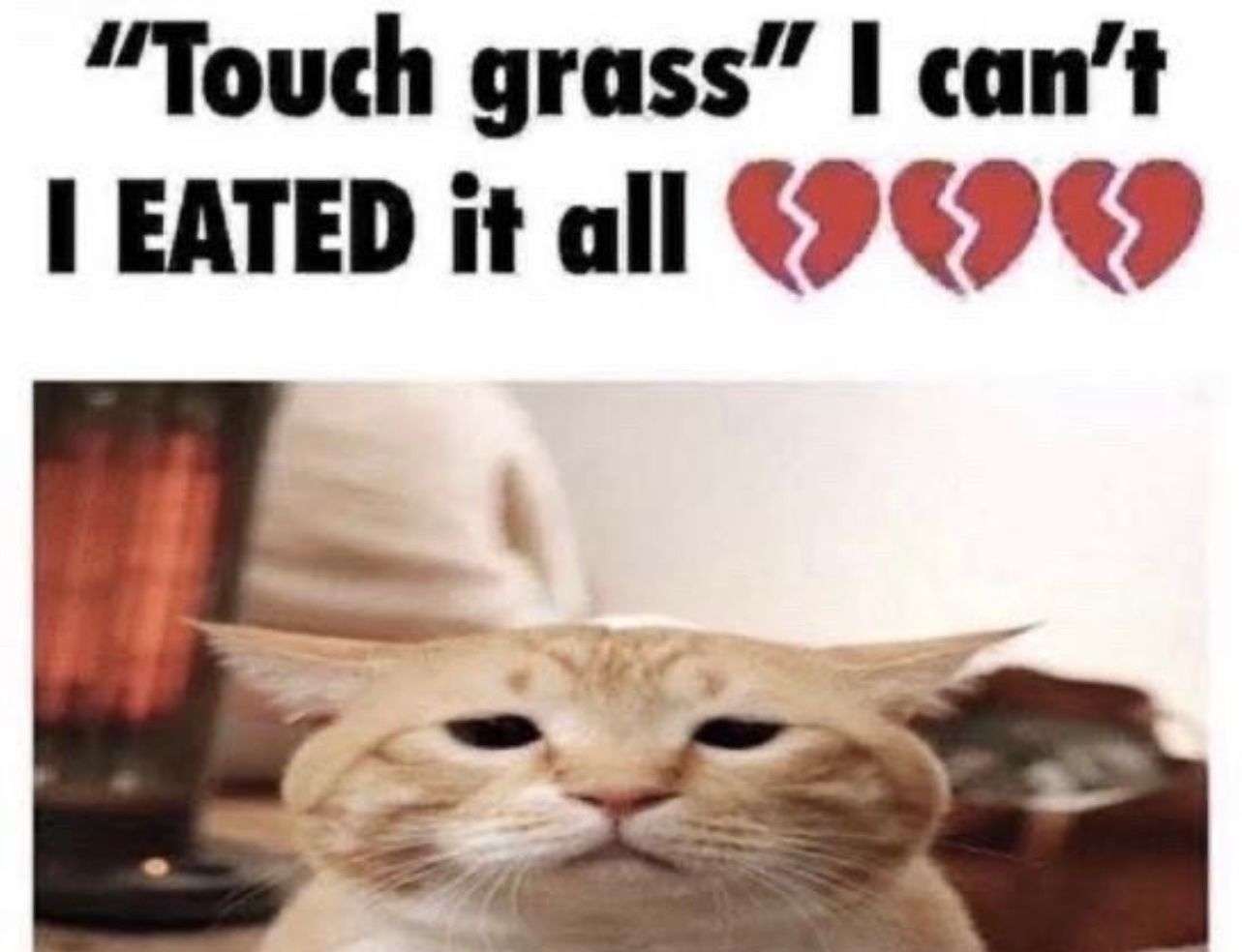 I eated all the grass :broken_heart: